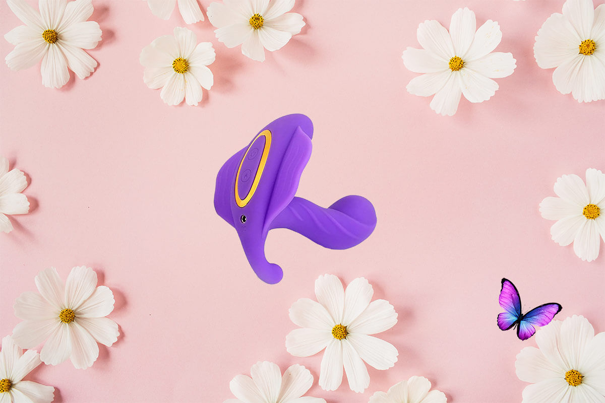 Conclusione Vibratori Butterfly