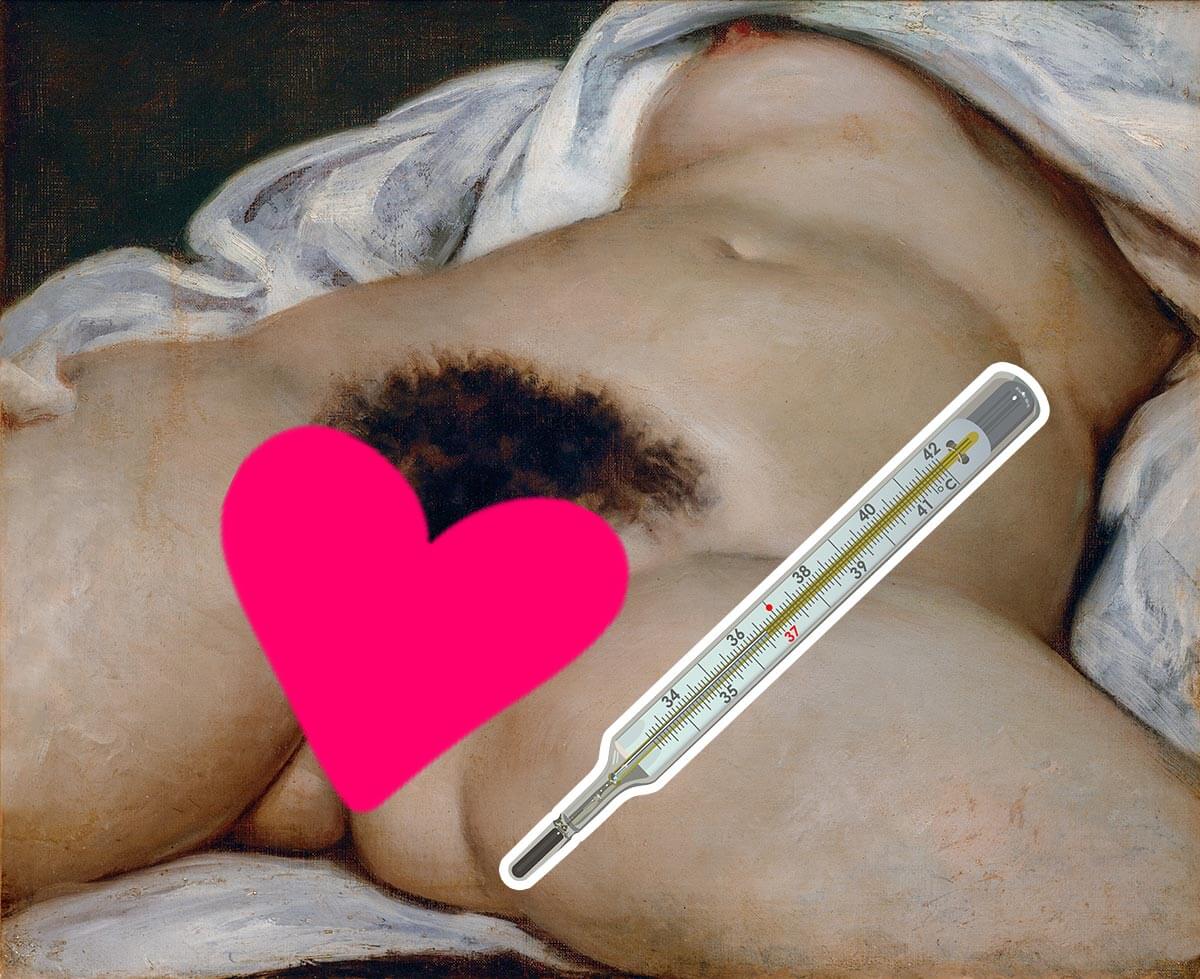 Mantengono costante la temperatura corporea 2