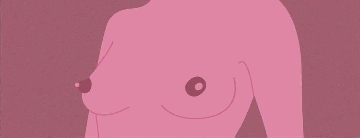 I capezzoli sporgenti