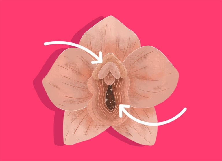 Orgasmo clitorideo e orgasmo vaginale qual è la differenza