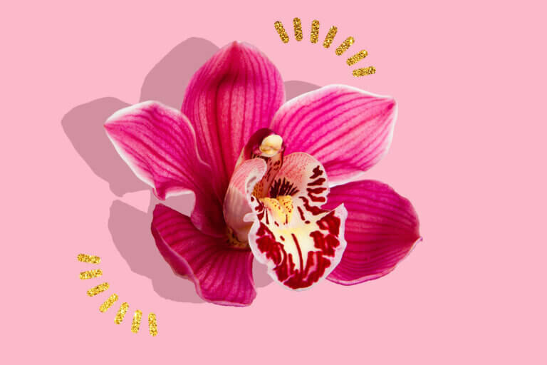 Consigli Per Una Vagina Dal Buon Odore E Sapore