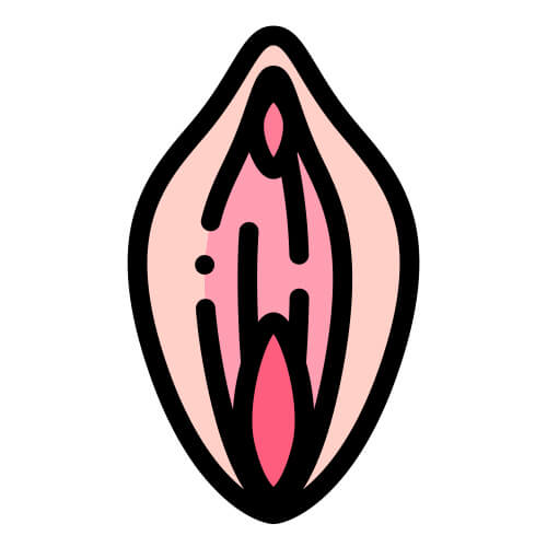 Vagina