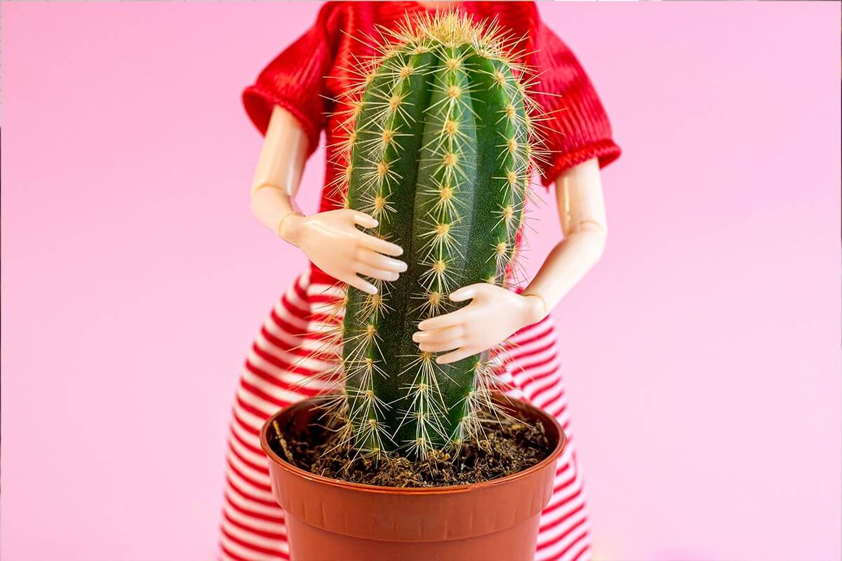 Quali sono i segni di una relazione tossica